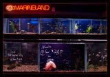 aquarium shop