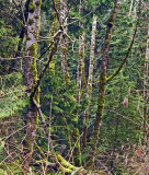 ordinary view of an extraordinary place<br>by inframan