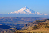 Mt. Hood