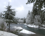 on the Skykomish River