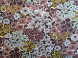 Fabric detail: Rossellie by Liberty of London