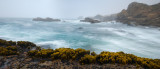 Sea Palms and Surf Panorama