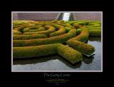 Water Garden-2