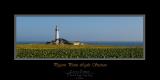 Pigeon Point Light Station