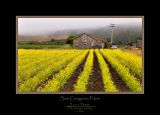 Farm-1