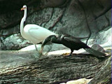 Disney 01-A.jpg