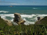 Gannet Colony 01.jpg