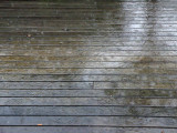 Rain on the Deck 1