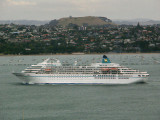 Amadea 9.jpg