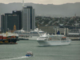 Amadea 7.jpg