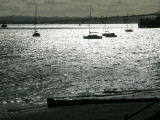 Late Afternoon 2.jpg