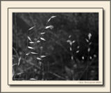 Leaning Light