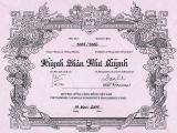 VCCSF Certificate_HT Nhu Quynh-RS.jpg