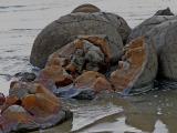 354 Fractured boulder.jpg
