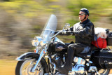 Harley rider heads up the Big Sur Coast