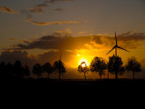 Windmills - Geophoto
