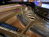 piano harp complete - Catman