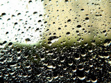 Fresh glass - Moncho