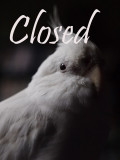 closed.jpg