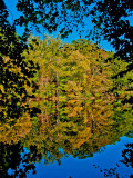 Fall Pond Reflection - Brad