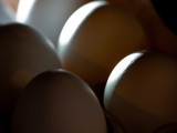 More Eggs - Brad