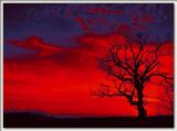 blood red sunset.- brent