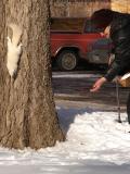 Singing to the Squirrels by Shirley Haden