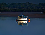 Early morning at low tide by Dennis