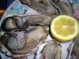 oysters