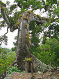 Copán Ruinas, Honduras