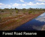 Forest Road Reserve