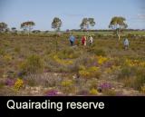 Quairading reserve