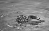 WaterDrops_20090601_15