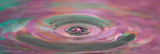 WaterDrops_20090601_172