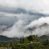 CameronHighlands_20100814_0865.jpg