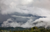 CameronHighlands_20100814_0868-Edit.jpg