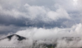 CameronHighlands_20100814_0895.jpg