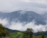 CameronHighlands_20100814_0949.jpg