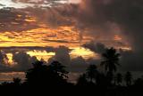 sunrise Tobago