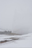 Old Faithful in the snow