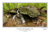 Cascade on Climbing Rose Creek.jpg