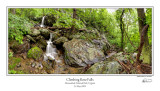 Climbing Rose Falls.jpg