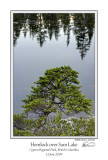 Hemlock over Sam Lake.jpg