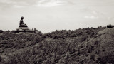 Tian Tan Buddha