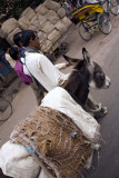 Spice Market, Old Delhi