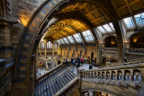 British Museum of Natural History, London