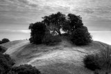 Mount Tamalpais State Park