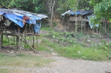 Puak nomadic Penan huts.jpg