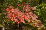 Automne 2012 (HDR)