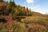 Oxbow Outlet, Adirondacks
